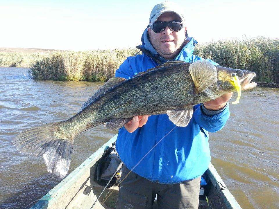 Radu Boanta - Radu Boanta