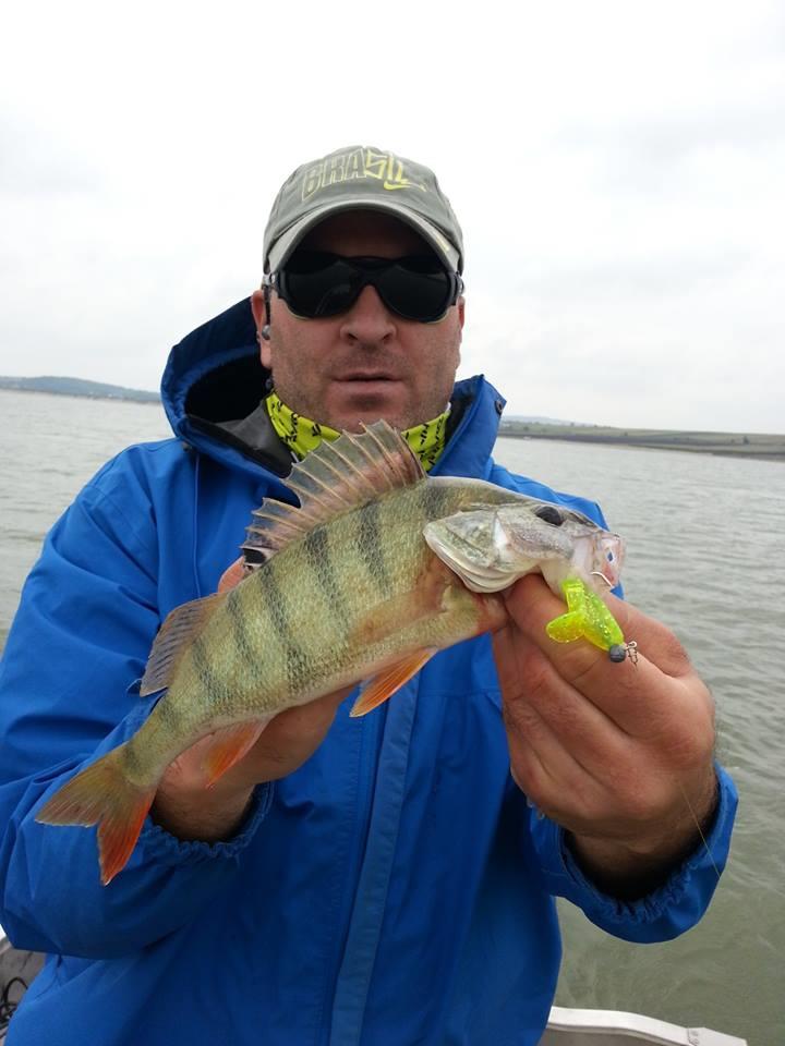 Radu Boanta - Radu Boanta