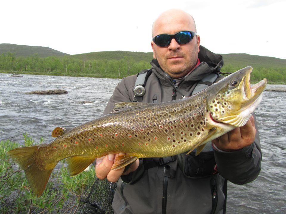 Radu Boanta - Radu Boanta