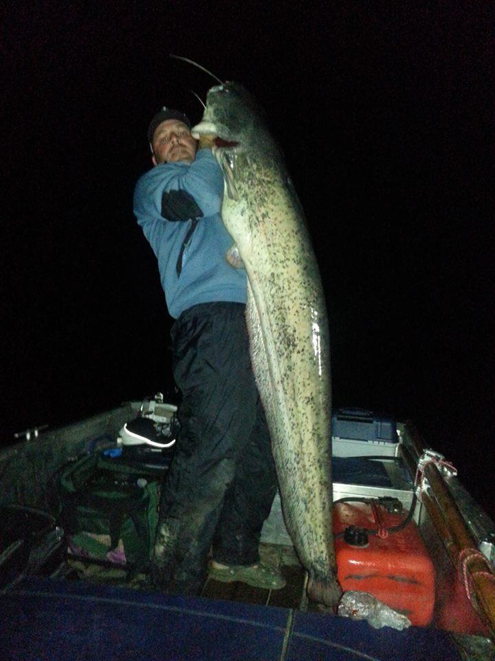 Radu Boanta - Radu Boanta