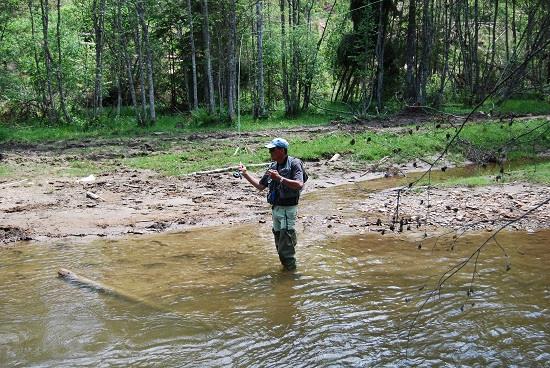 Fane Bondrea - Fane Bondrea