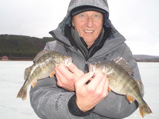 Fane Bondrea - Fane Bondrea