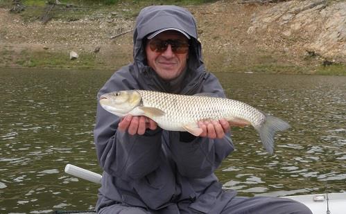 Fane Bondrea - Fane Bondrea