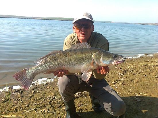 Fane Bondrea - Fane Bondrea