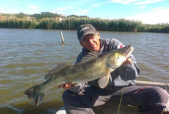 Fane Bondrea - Fane Bondrea