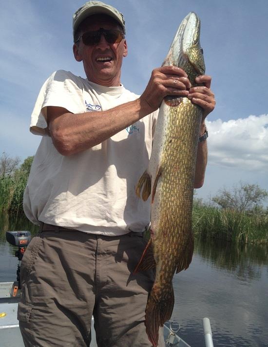 Fane Bondrea - Fane Bondrea