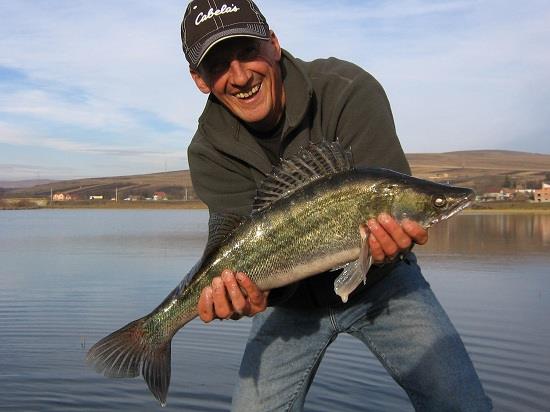 Fane Bondrea - Fane Bondrea