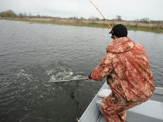 Cristian Rizea - cristian-rizea-pescuit-rapitori-4.jpg