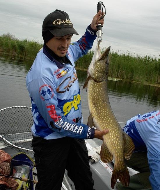 Cristian Rizea - cristian-rizea-pescuit-rapitori-5.jpg