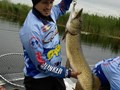 Cristian Rizea - cristian-rizea-pescuit-rapitori-5.jpg