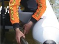 Rares Boeriu - rares-boeriu-spinning-4.jpg