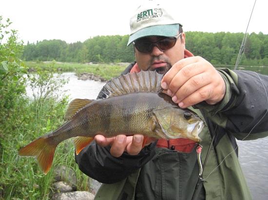 Petre German - pescuit-biban.jpg