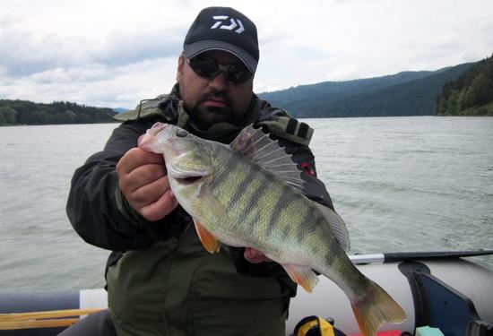 Petre German - pescuit-salau.JPG