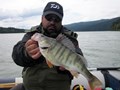 Petre German - pescuit-salau.JPG