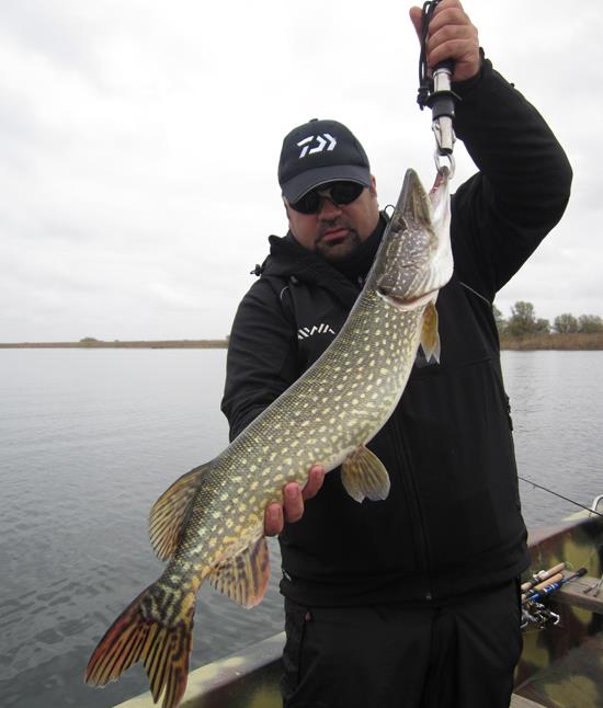 Petre German - petre-german-berti.jpg