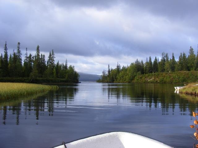 Marin Roteliuc - dscf56861.JPG