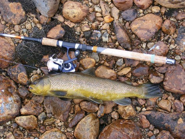 Marin Roteliuc - dscf57471.JPG