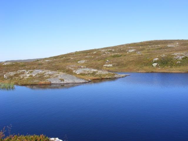 Marin Roteliuc - dscf57981.JPG