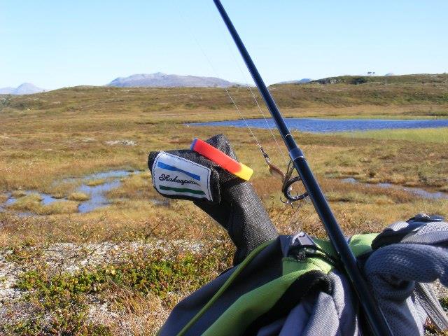 Marin Roteliuc - dscf58251.JPG