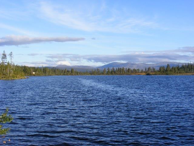 Marin Roteliuc - dscf58291.JPG