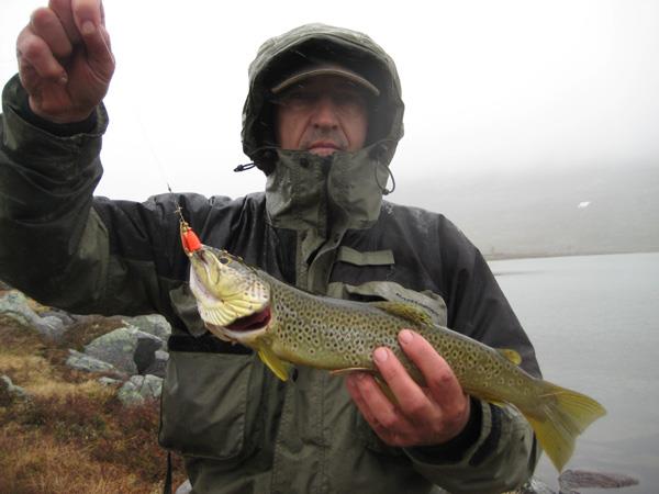 Marin Roteliuc - img26201.jpg