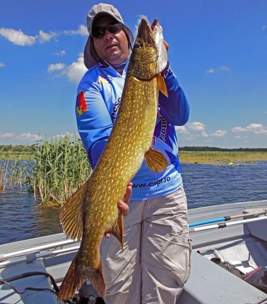 Liviu Voicu - la-rapitori-liviu-voicu.JPG