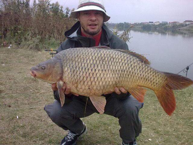 marius niculae - 11112009018.jpg