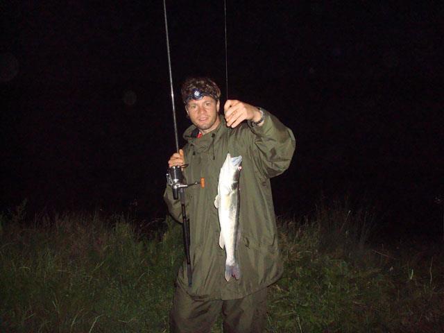 marius niculae - dsc00088.jpg