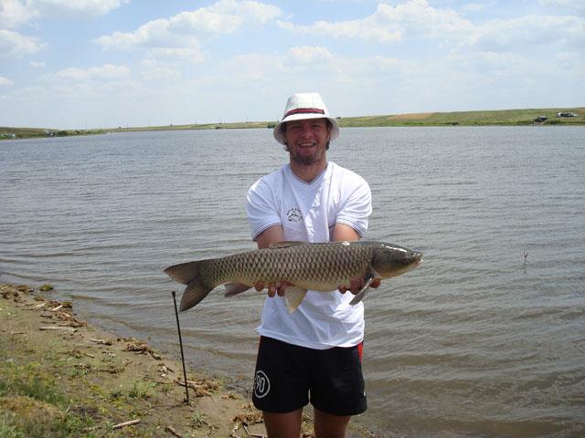 marius niculae - dsc00091.jpg