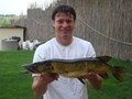 marius niculae - dsc00141.jpg