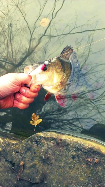 street fishing - biban1.jpg