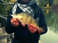 street fishing - biban3.jpg