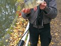 street fishing - biban4.jpg