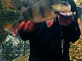 street fishing - biban8.jpg
