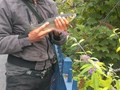 street fishing - clean1.jpg