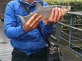 street fishing - clean3.jpg