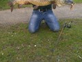 street fishing - stiuca1.jpg