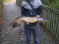 street fishing - stiuca10.jpg