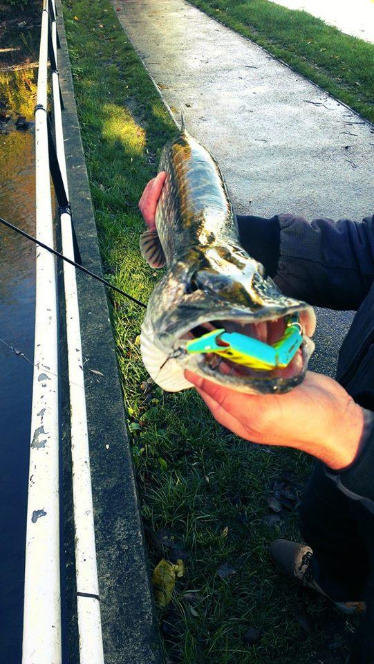 street fishing - stiuca11.jpg