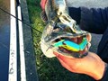 street fishing - stiuca11.jpg