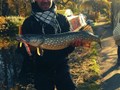 street fishing - stiuca12.jpg