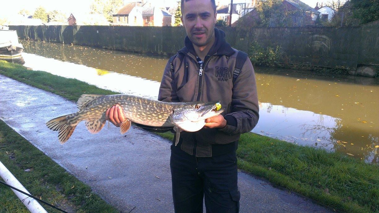 street fishing - stiuca3.jpg