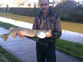 street fishing - stiuca3.jpg