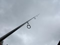  - img1136.JPG