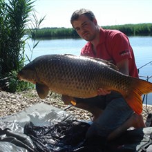 Viorel Mateianu