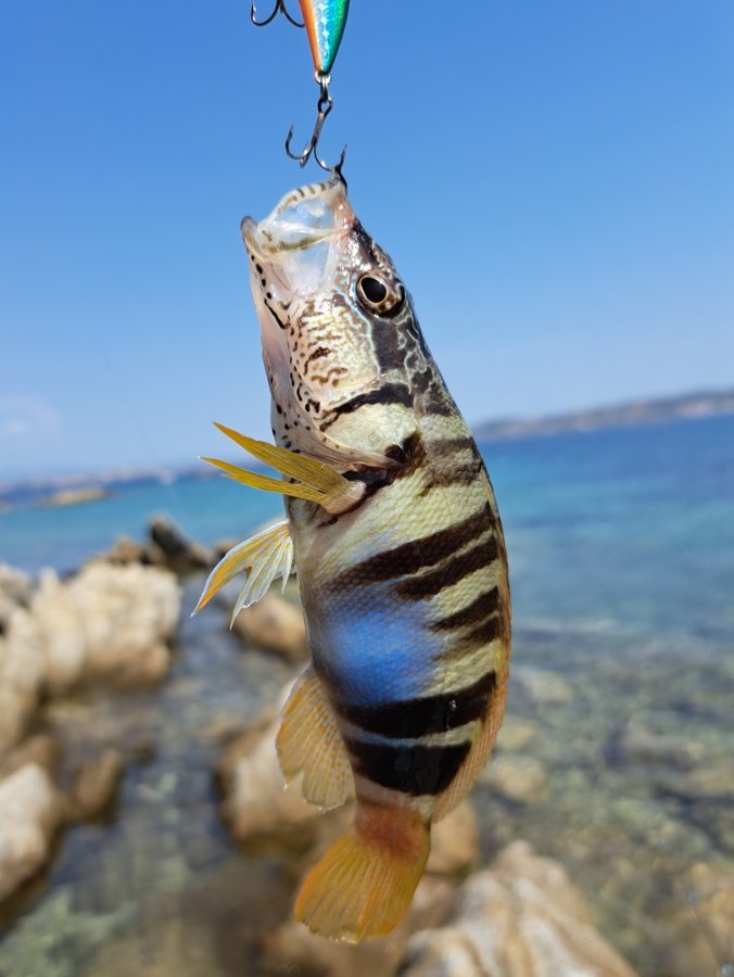 grecia_p01.jpg